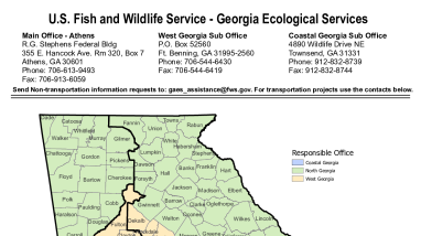 Georgia Ecological Services Work Area Map
