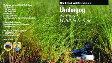 Umbagog General Brochure 2017.pdf