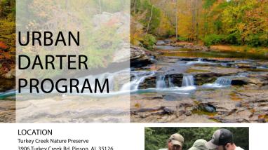 Urban Darter Program flyer.pdf