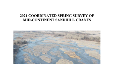 Coordinated Spring Survey Of Mid-Continent Sandhill Cranes 2021
