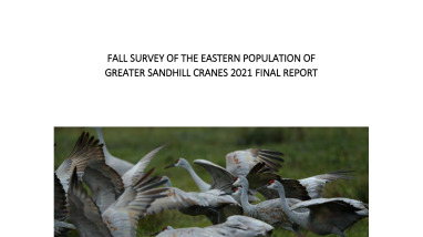 Eastern Population of Greater Sandhill Crane Fall 2021 Survey