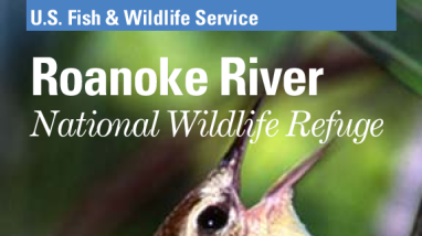Roanoke River National Wildlife Refuge General Brochure