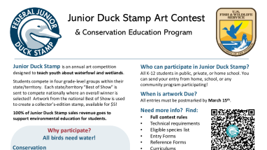 Jr. Duck Stamp General Information 1