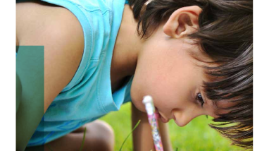 junior-duck-stamp-program-guidelines-for-excellence-k-12-learning.pdf