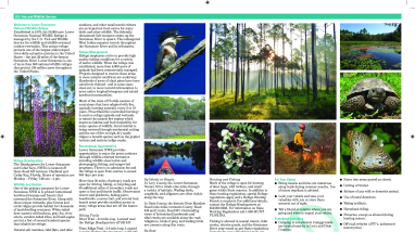 Lower Suwannee NWR Tear Sheet - Back