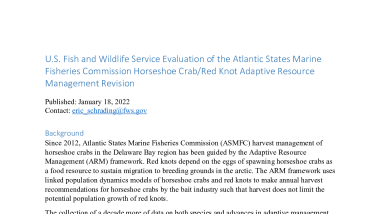 U.S. Fish and Wildlife Service Evaluation of the Atlantic States Marine Fisheries Commission Horseshoe Crab-Red Knot Adaptive Resource Management Revision
