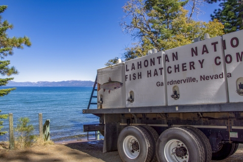 a truck by a lake