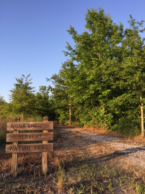 A walking trail entrance.