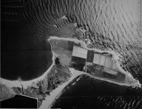 History of farming at Sachuest Point