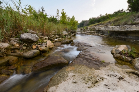 Water flows in a creek