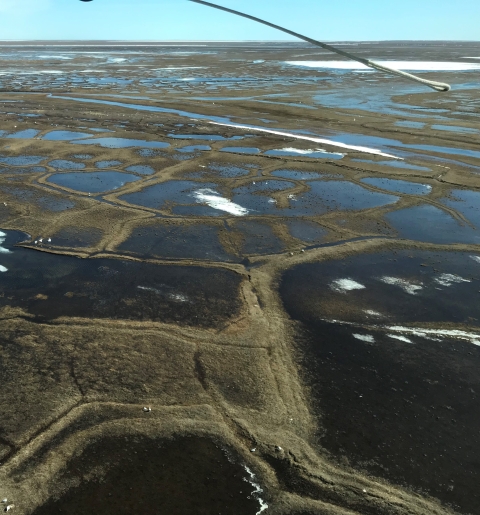 Arctic Coastal Plain of Alaska; lakes and tundra with snow