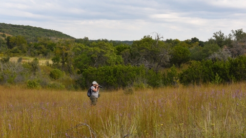 A woman takes a photo in a field