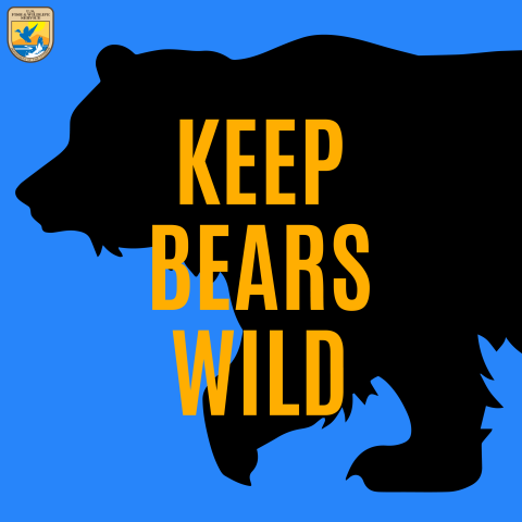 A silhouette of a grizzly bear. Keep bears wild.