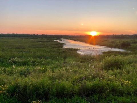 Sunset over wetlands at Moosehorn National Wildlife Refuge