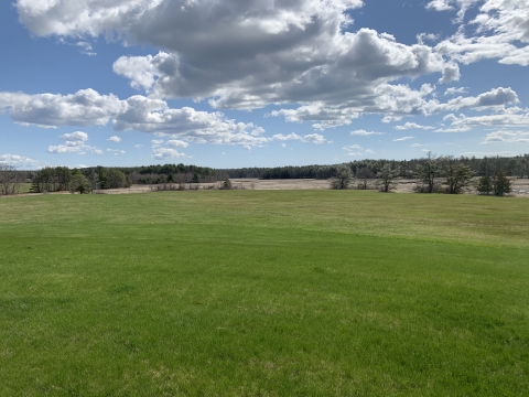 a large green field with a strip of brown grasses and green trees in the background, under blue sky with clouds