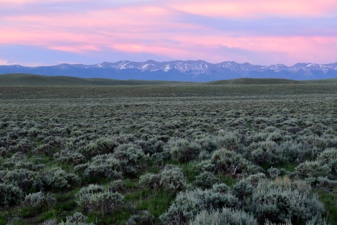 Sage steppe at sunset on Arapaho National Wildlife Refuge