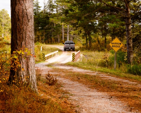 Truck going down the Marshland Wildlife Drive