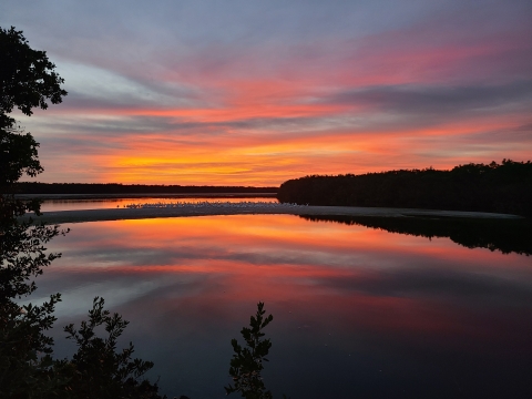 Vivid sunset with large flock of American White Pelicans at Water Control Structure 5 located on the Wildlife Drive