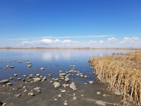 Prairie Pothole Region Wetland
