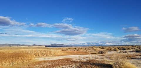 Saratoga, Wyoming