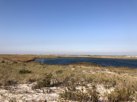 A cloudless blue sky over a dune landscape. A water filled inlet takes up space to the right. There is much vegetation on the dunes. 