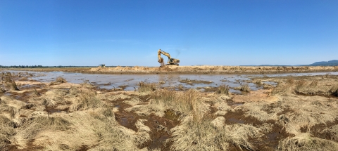View of grassy marsh with backhoe tractor in the distance. 