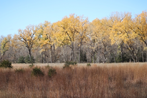 Fall colors on Karl E. Mundt NWR