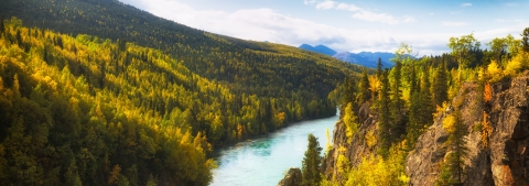 Fall foliage lights up along the Kenai River Kenai National Wildlife Refuge.