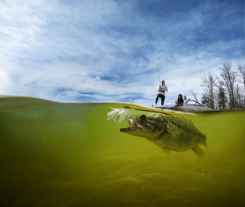 A fish swims under the surface of the water, following a fishing lure. Two people fish from a boat above the surface of the water.