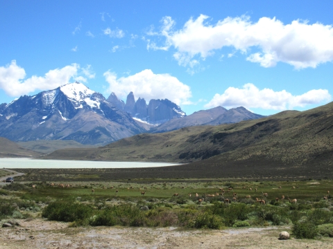 Sharp, snow-covered mountains tower above a lake. Wildlife scatter across a field of green in the foreground.