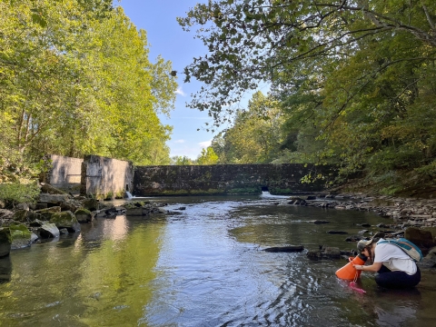 A man uses a special bucket to look for mussels in a river at the base of a 12-foot tall dam
