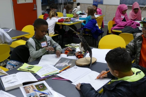 Kids study waterfowl and habitats at the refuge