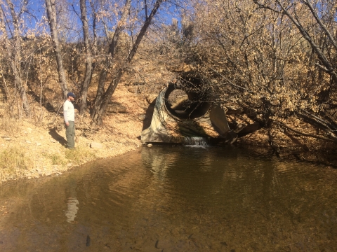 A person stands next to a body of water. An old culvert in the background is perched high above the surface of the water, showing how it cuts off fish passage.