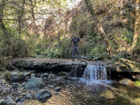 A person stands on top of rocks in a stream. Trees and rocks are on either side of the stream. 