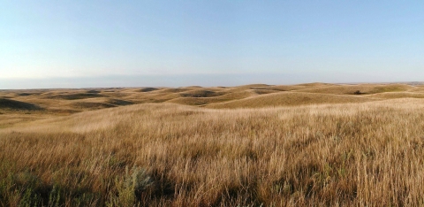 A view of the sandhill prairie. 
