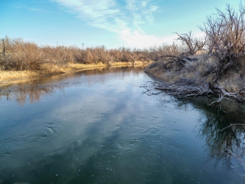 Head on view of a river with bare trees along the sides of the riverbank
