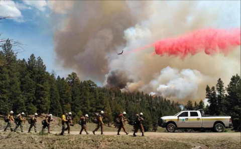 Crew of firefighters walking past a white truck while a forest fire occurs in the distance