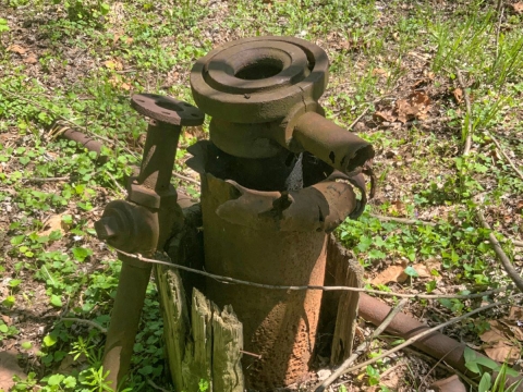 An orphaned well, a thick metal cylinder with a hole in the top, outside in a patch of plants