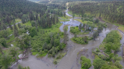 A winding river with multiple streams in a forest