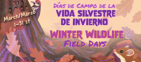 Colorful graphic of an oak tree, deer mouse and red headed woodpecker, and the text "Winter Wildlife Field Days, Dias de Campo de la vida silvestre."