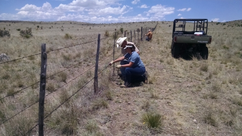 Three individuals are working on a fence