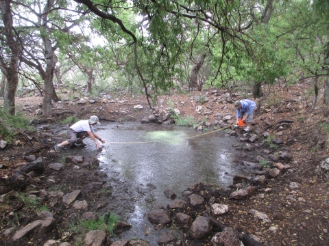 Two individuals measure the width of a pond in a forest