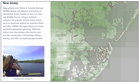 NWI Mapper prints near Edwin B. Forsythe NWR.