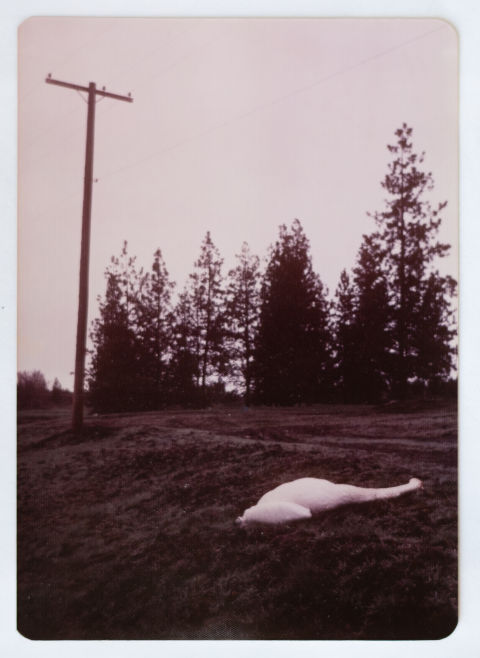 Black and white photo of a powerline with a large white swan laying dead underneath.