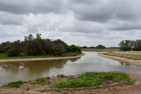 Constructed Wetland Texas Gulf Coast Prairie