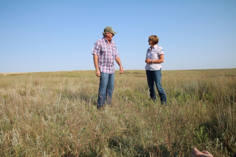 Two people stand in a grassy field and speak with each other