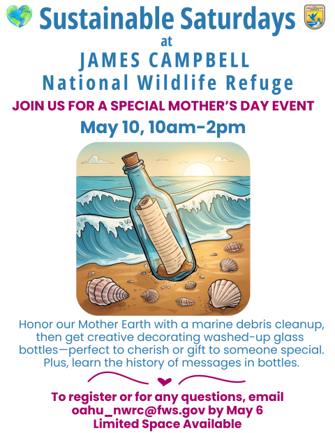 Flyer showing bottle on sand with ocean on back