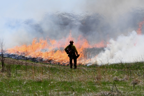 Wildland fire professional wearing proper protective equipment standing with back to camera in silhouette facing burning grassland and smoke with green grass in foreground