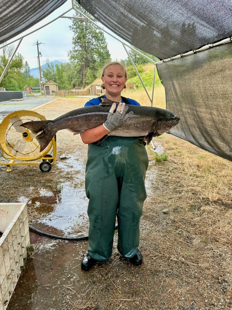 A woman wearing green waders smiles while holding a very large fish