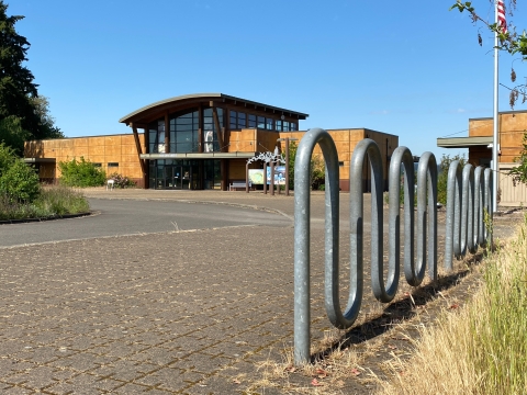 Image of a gray metal bar with a wavy shape attached to a concrete paver walkway with a light brown building in the background.
